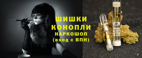сатива Белокуриха