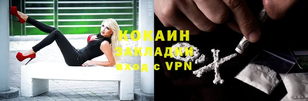 сатива Белокуриха