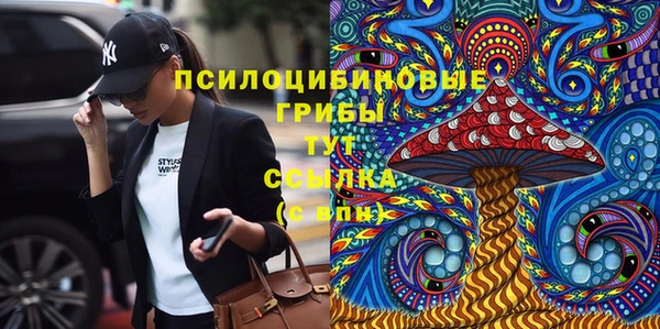 сатива Белокуриха