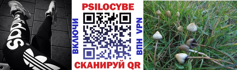 Псилоцибиновые грибы ЛСД  Энем 